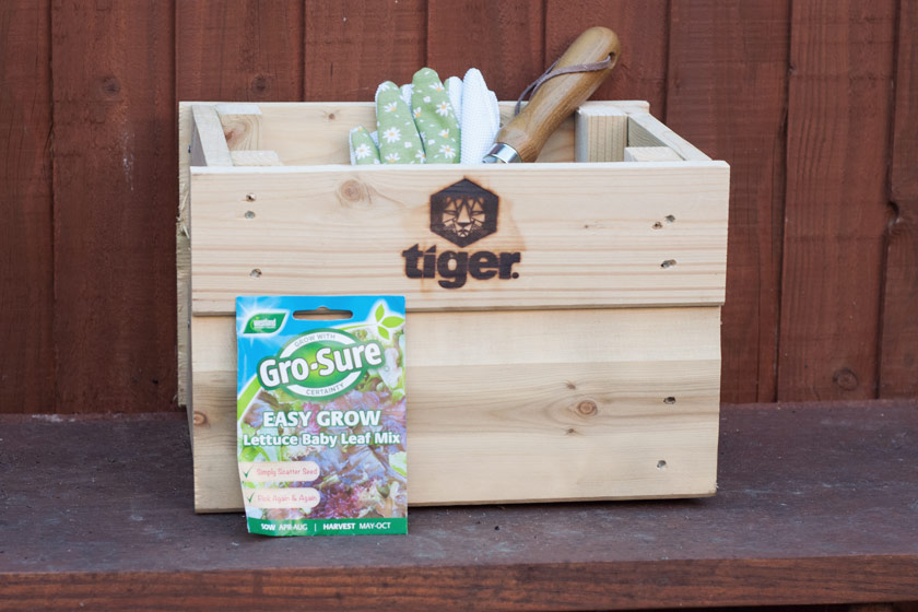 Planter and gardening tools