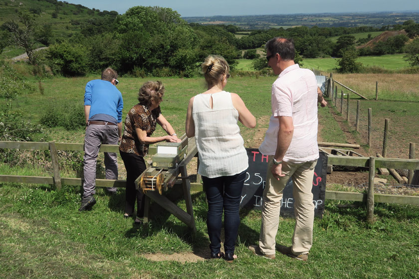 People feedings pigs