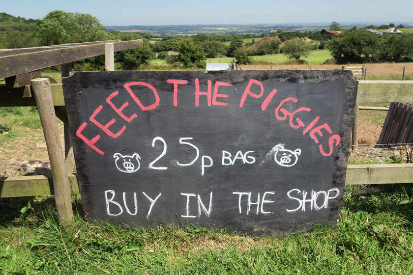 Feed the pigs sign