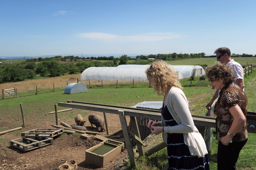 Me feeding pigs