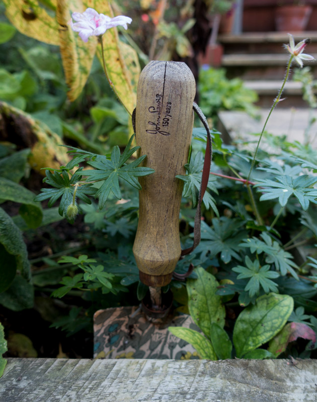 Garden trowel in plants