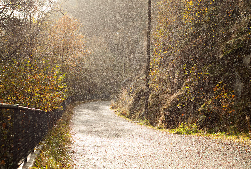 Rain in bright sunshine