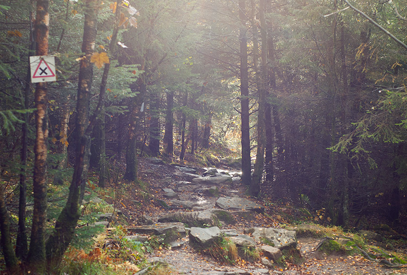 Rocky trail on Ulriken