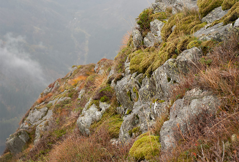 Mossy mountain edge