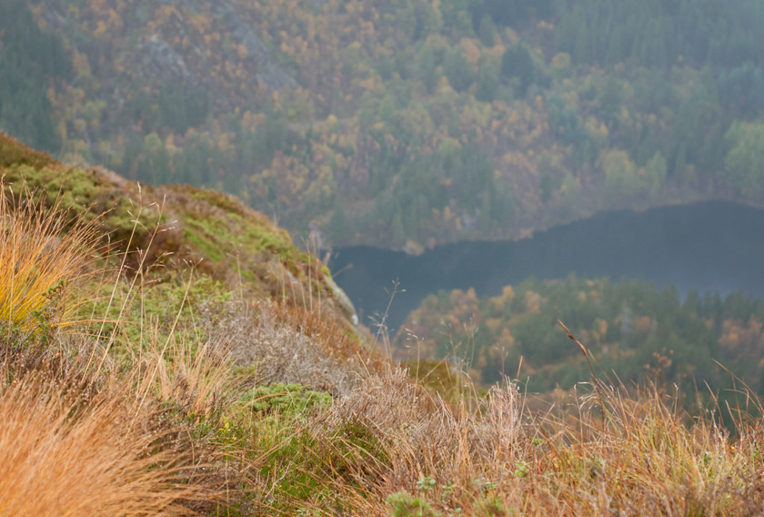 View of lake from mountain edge