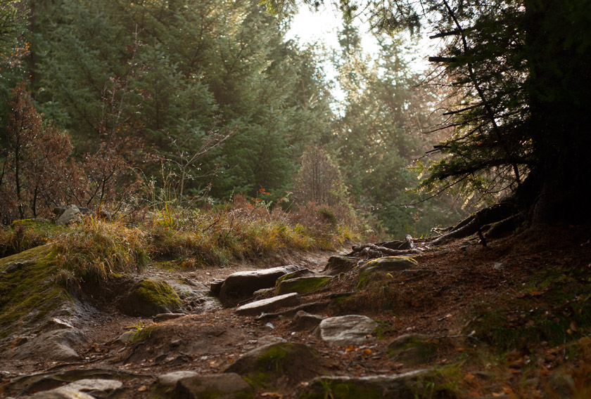 Rocky trail on Ulriken mountain