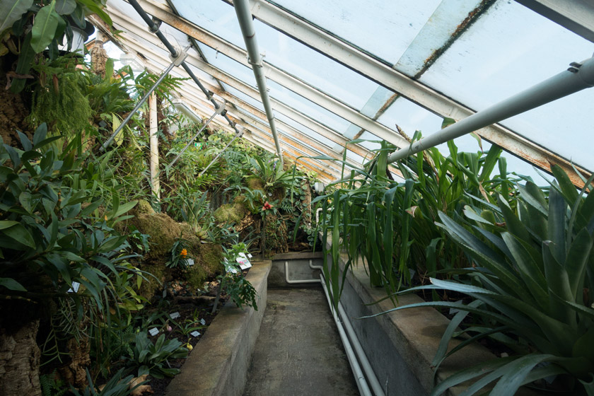 View inside glasshouse