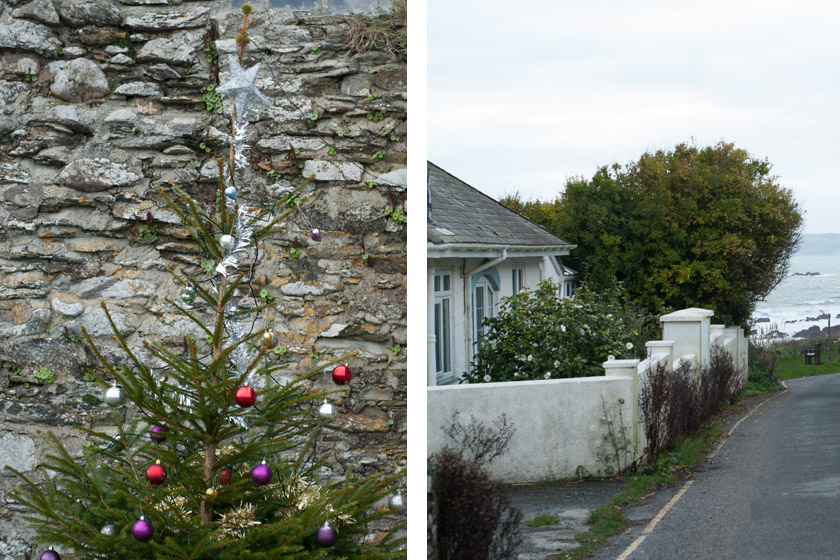 Christmas tree and garden overlooking ocean