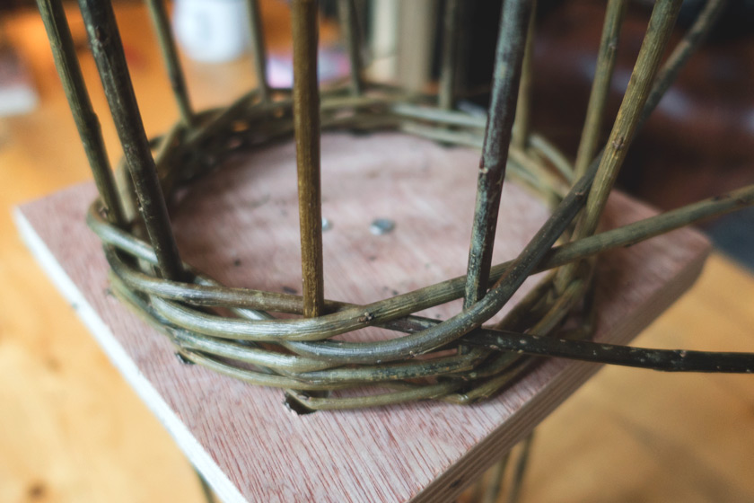 Willow weaving