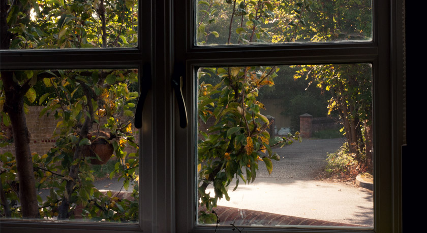 Sunny view out of window