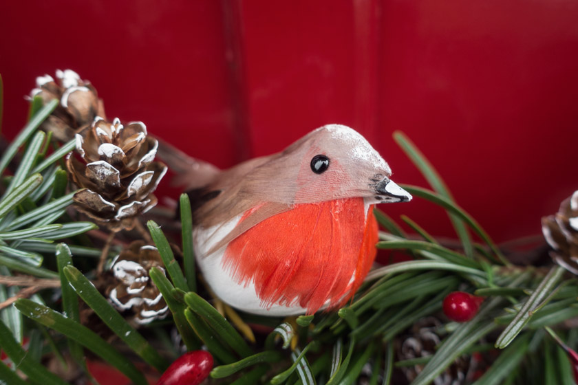Closeup of robin on wreath