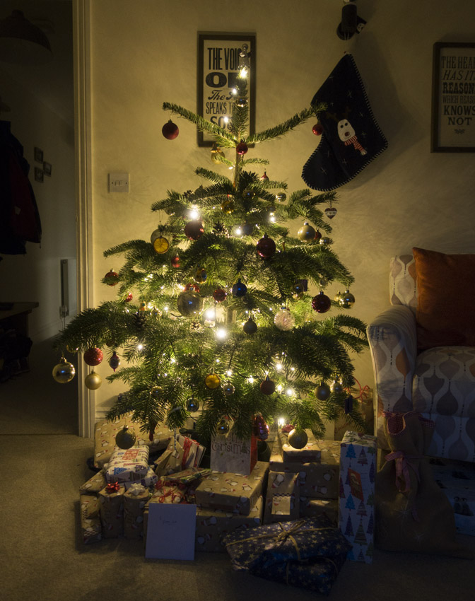 Lit up Christmas tree