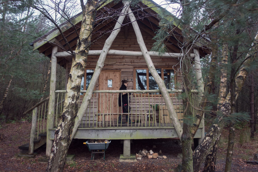 Log cabin in the woods