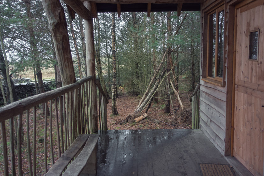 Woodland view from wood cabin