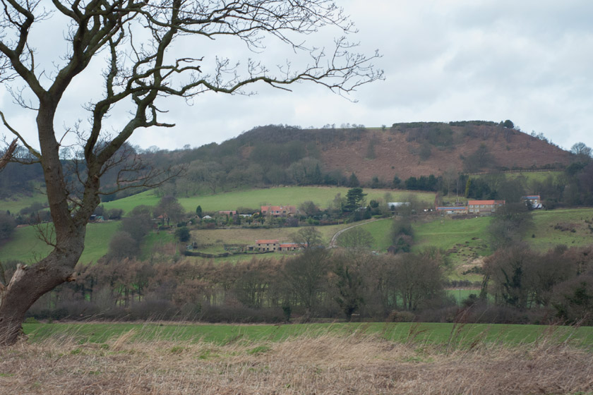View over dales