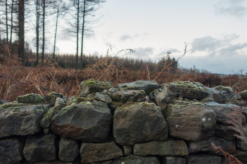 Stone wall