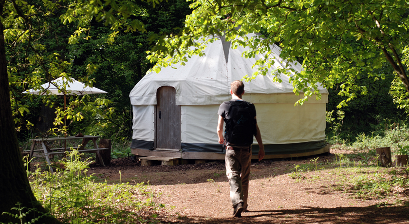 Yurt in green woodland