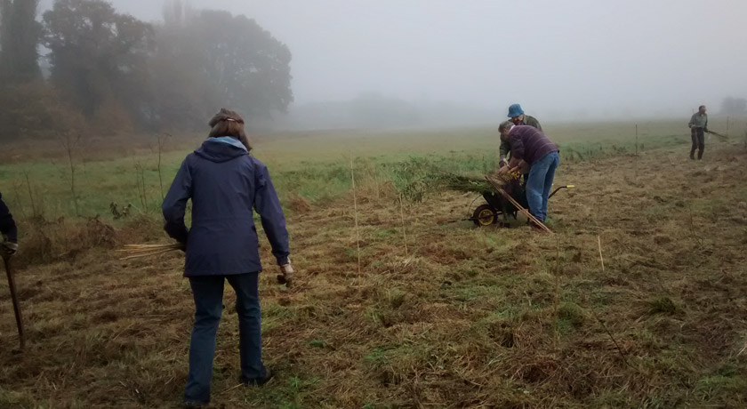Volunteers planting trees
