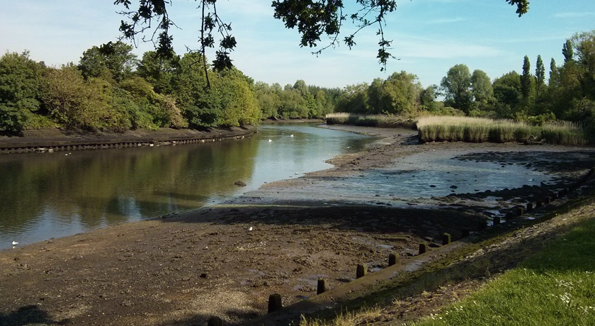 River views in Bitterne Park