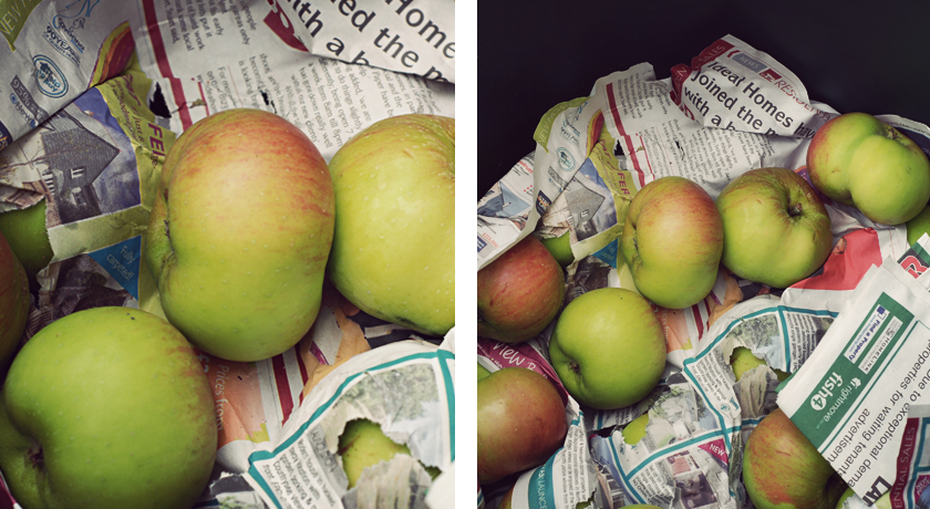 Bramley cooking apples
