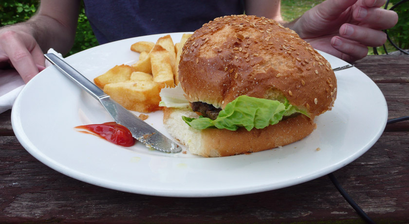 Burger and chips