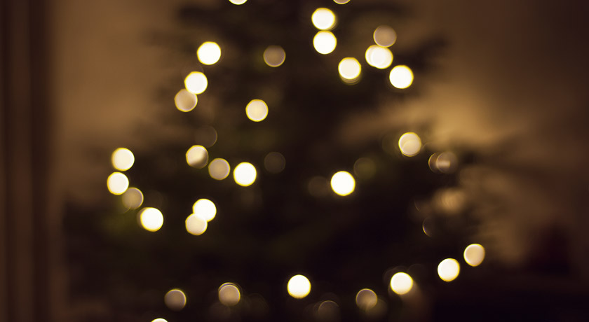 Blurred Christmas tree lights
