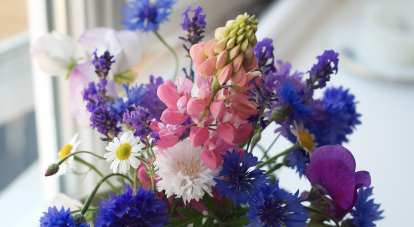 Pink and blue cut flower bouquet