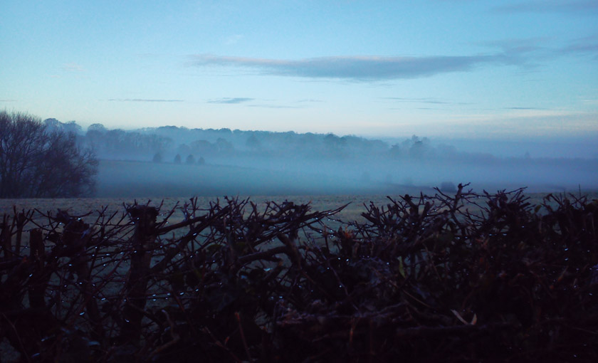 Mist hanging over fields