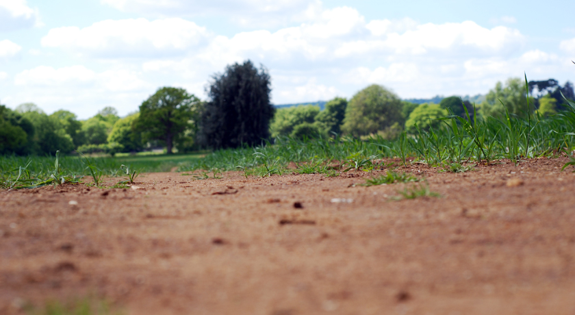 Ground level field view
