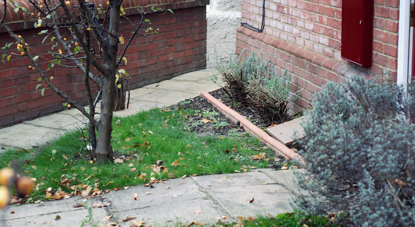 Front garden