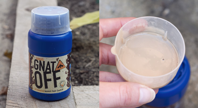 Fungus Gnat Off soil drench