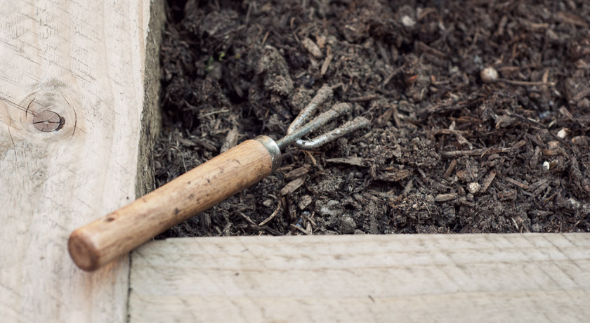 Hand cultivator in raised bed