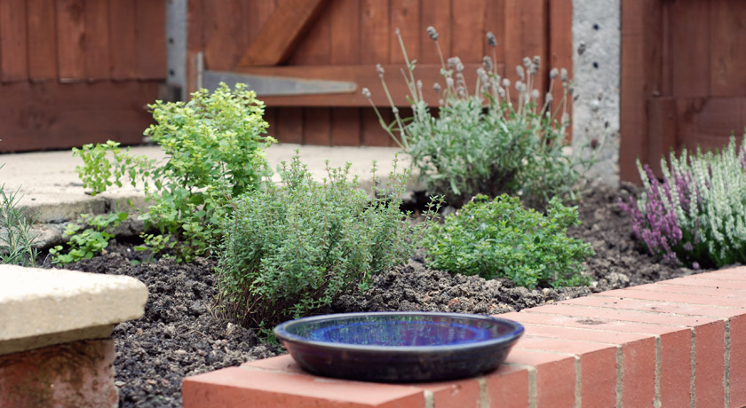 Herb garden