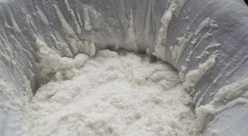 Drained goats cheese curds