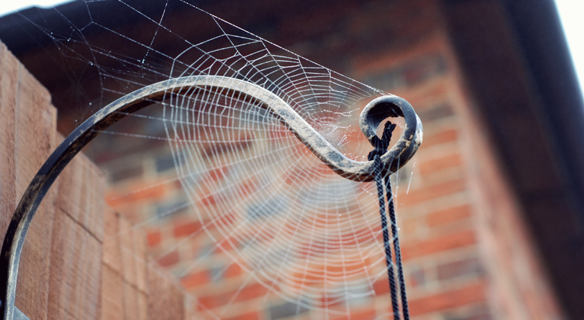 Wrought iron hook