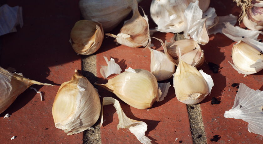 Garlic cloves