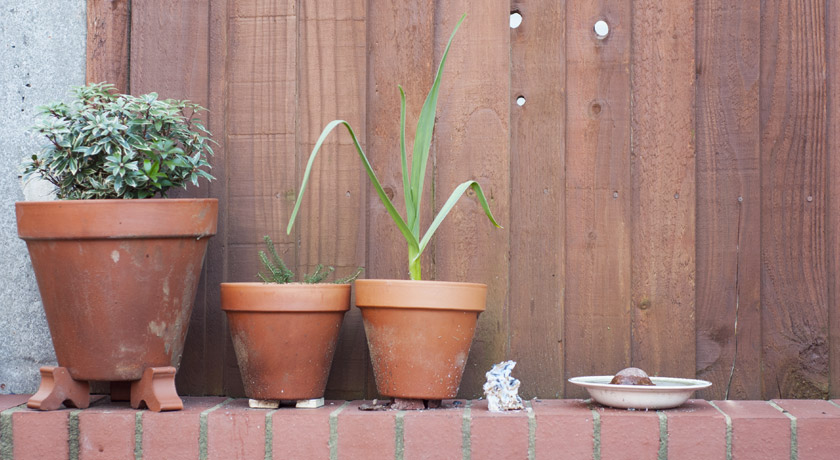 Terracotta pots on a wall