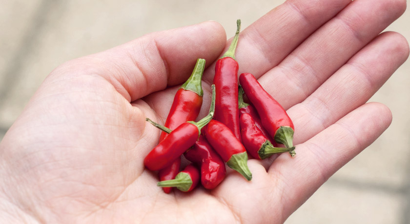 Red chillies