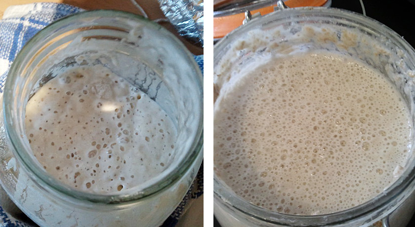Two jars of leaven for comparison