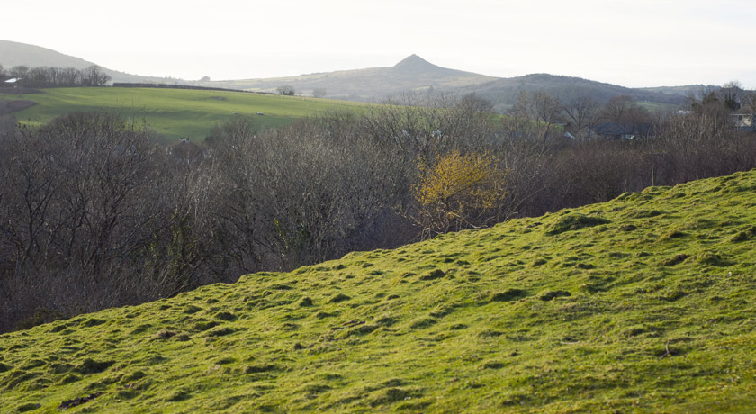 Cornish countryside