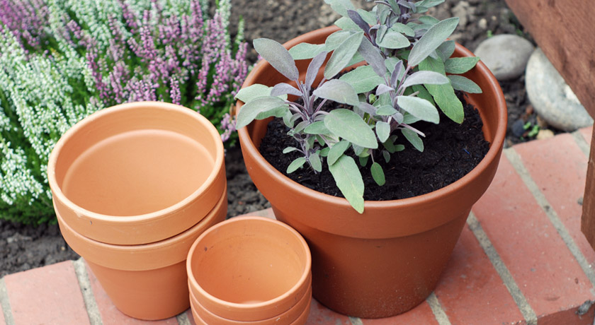 Terracotta pots