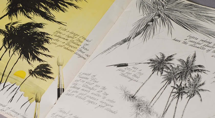 Palm tree drawings
