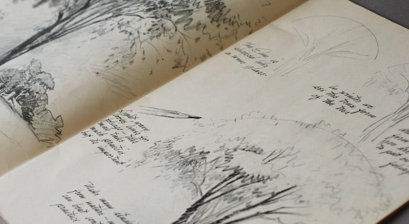 Sketches of trees