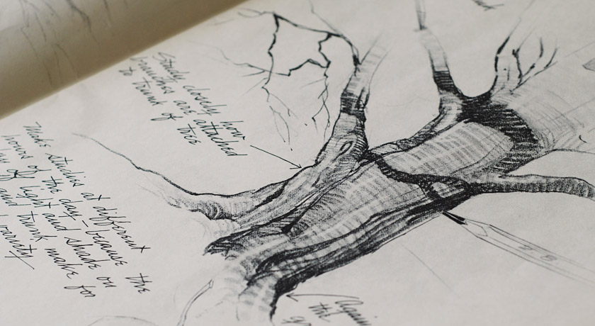 Pencil drawing of a tree