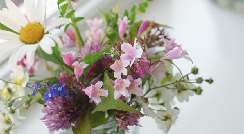 Pink and white wild flower posie