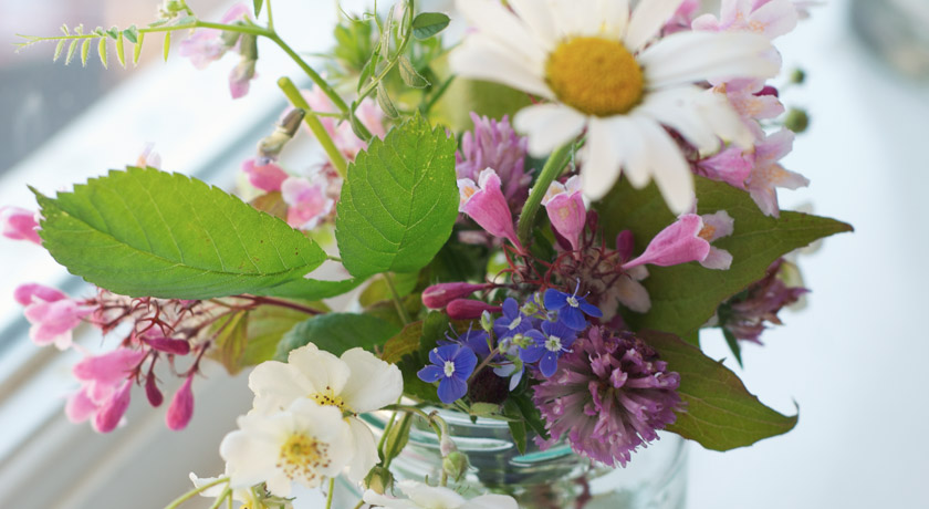 Mixed wild flower posie