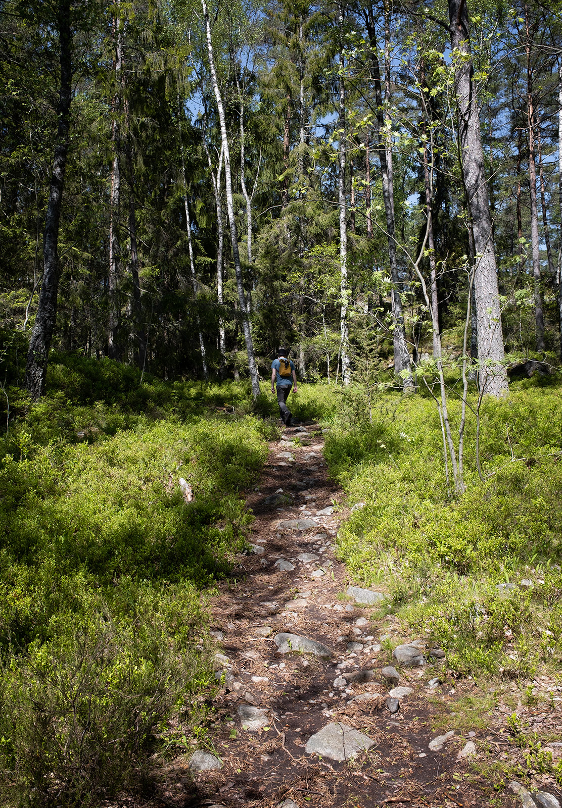 Man on dirt trail