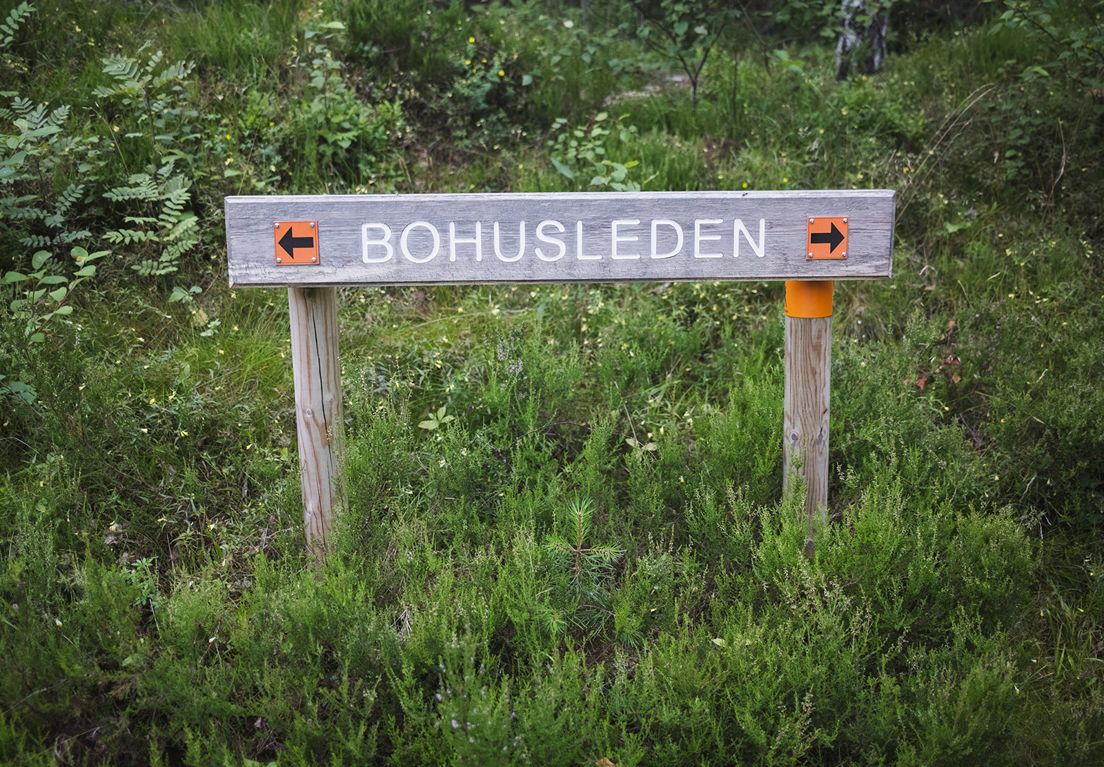 Wooden Bohusleden sign