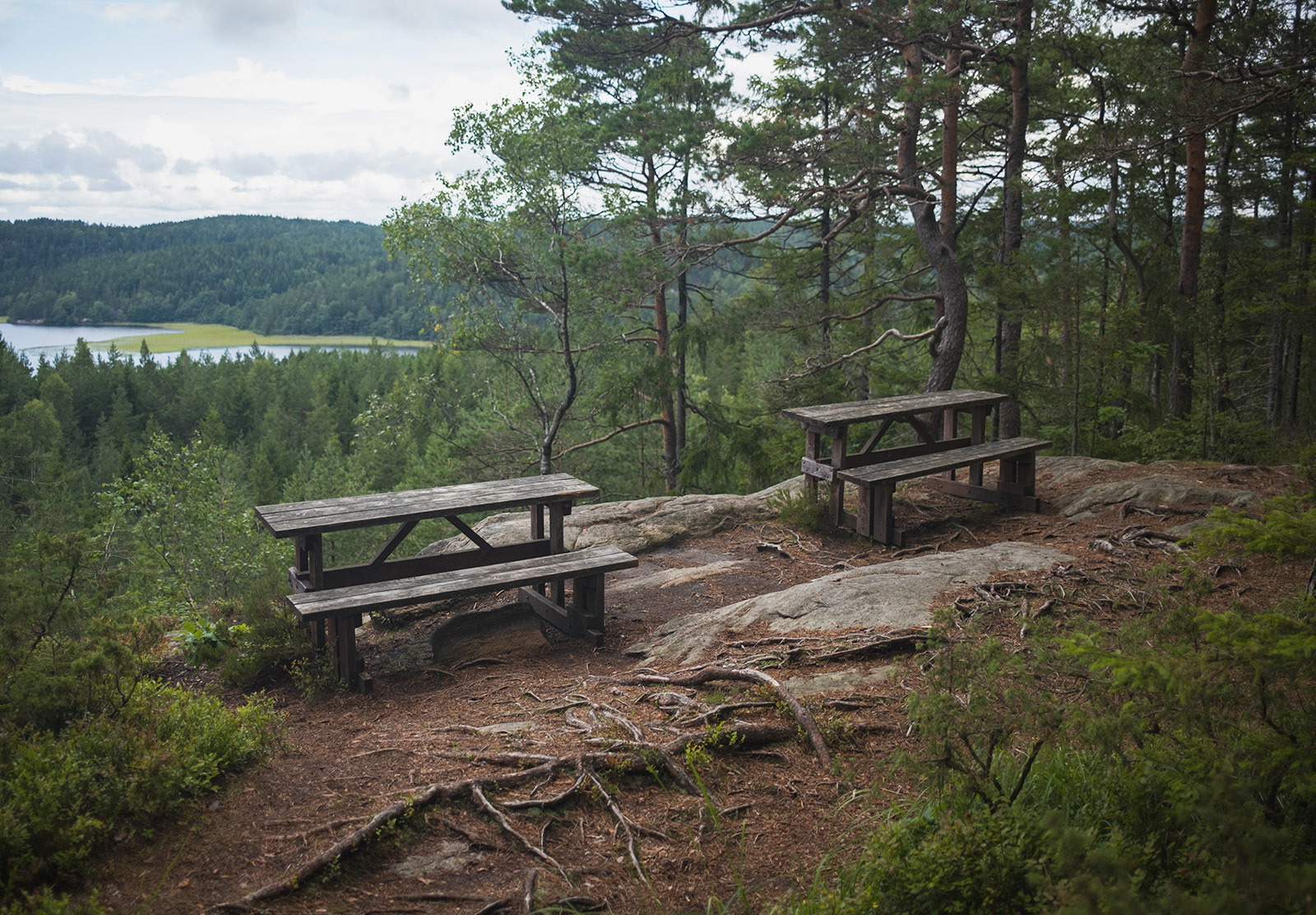 Two benches at the top of a hill
