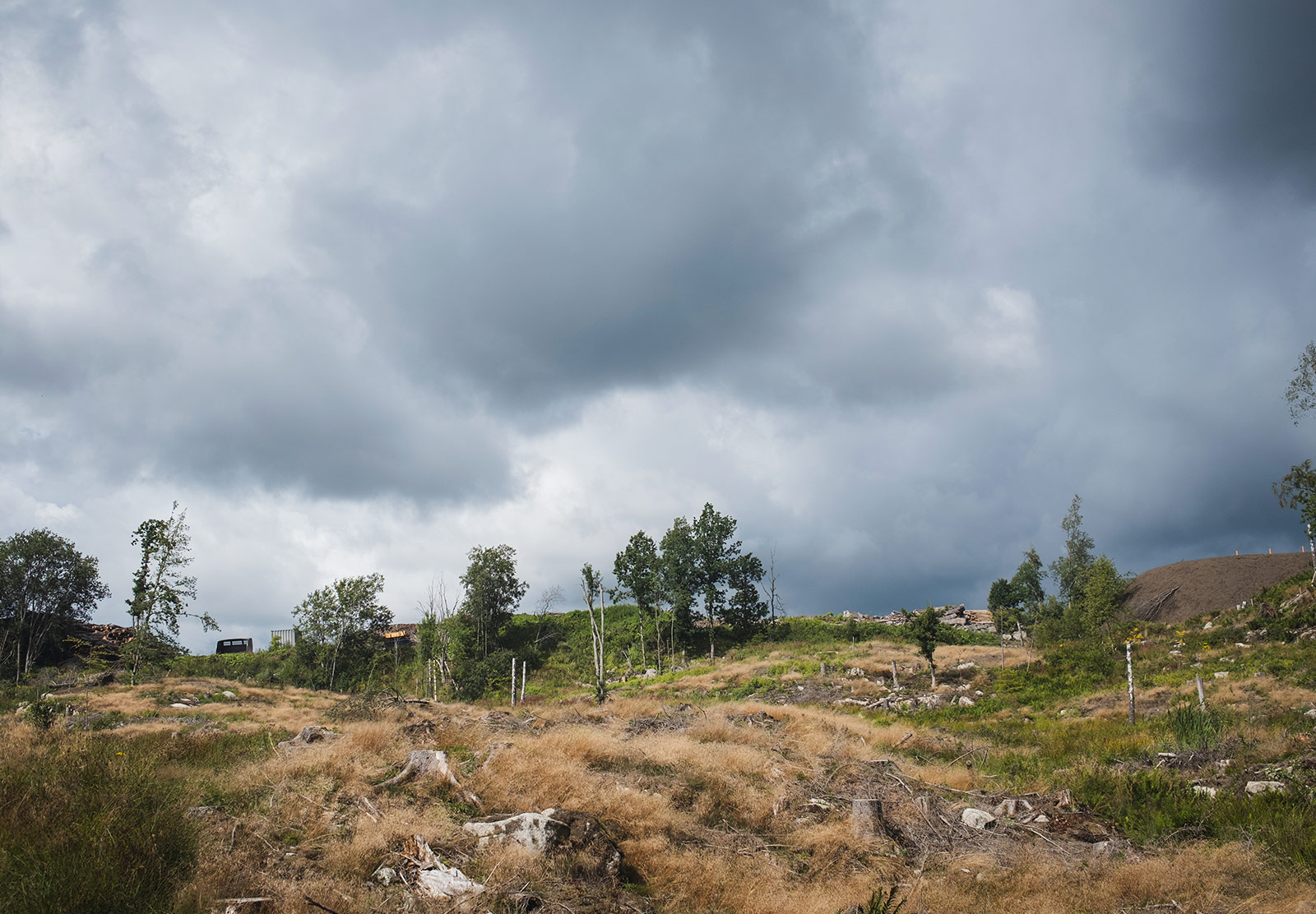 Dark clouds over cut forest